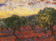 Vincent Van Gogh Olive Grove Germany oil painting artist
